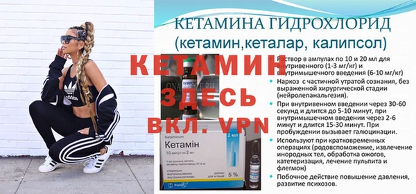 ГАЛЛЮЦИНОГЕННЫЕ ГРИБЫ Ладушкин