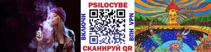 купить наркотики сайты  Малгобек  Псилоцибиновые грибы ЛСД 