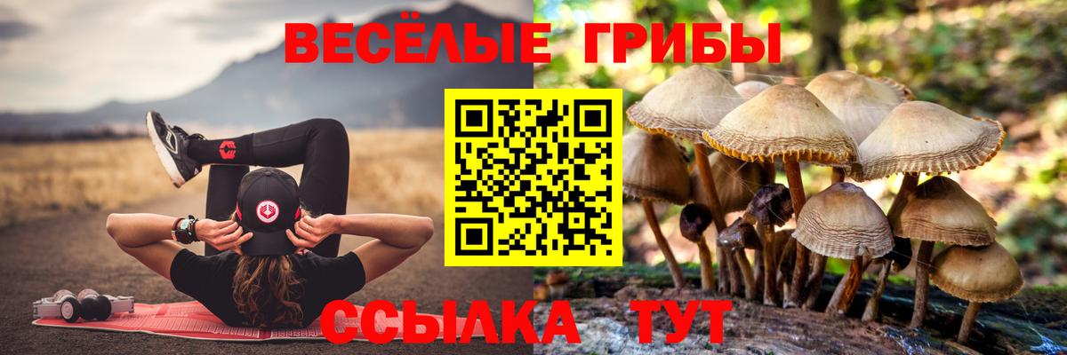 Галлюциногенные грибы MAGIC MUSHROOMS  Псилоцибиновые грибы MAGIC MUSHROOMS  Вход с VPN  Малгобек 