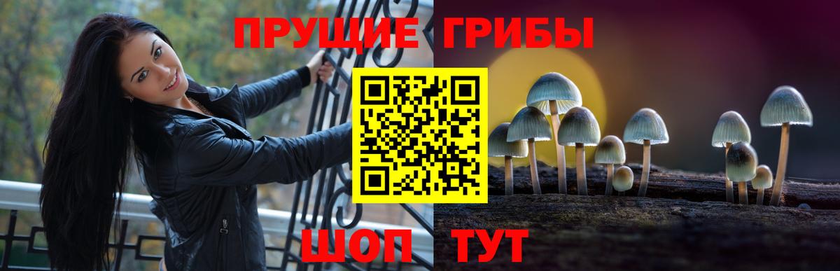 Псилоцибиновые грибы прущие грибы Малгобек